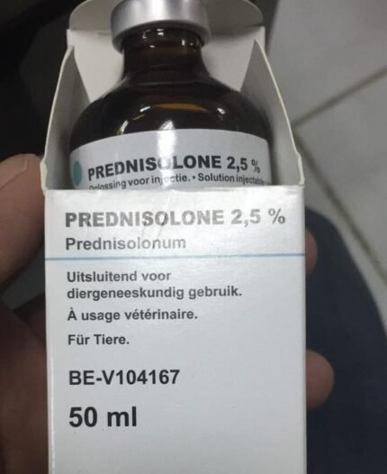 prednisolone 2.5 % injection