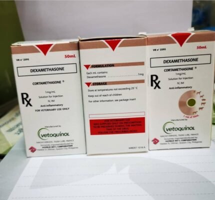 Dexamethasone injection