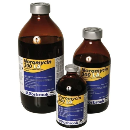 Noromycin 300