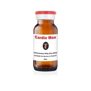 Buy Cardio Max 5ml Online - Advanced Equine Performance Support