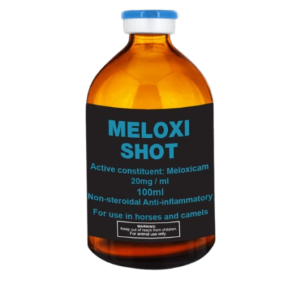 Meloxi Shot 100ml Online