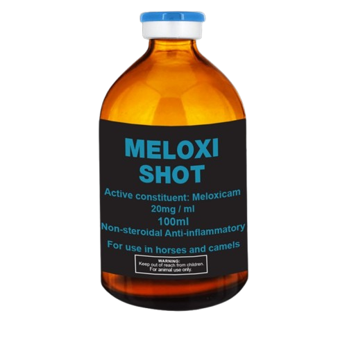 Meloxi Shot 100ml Online