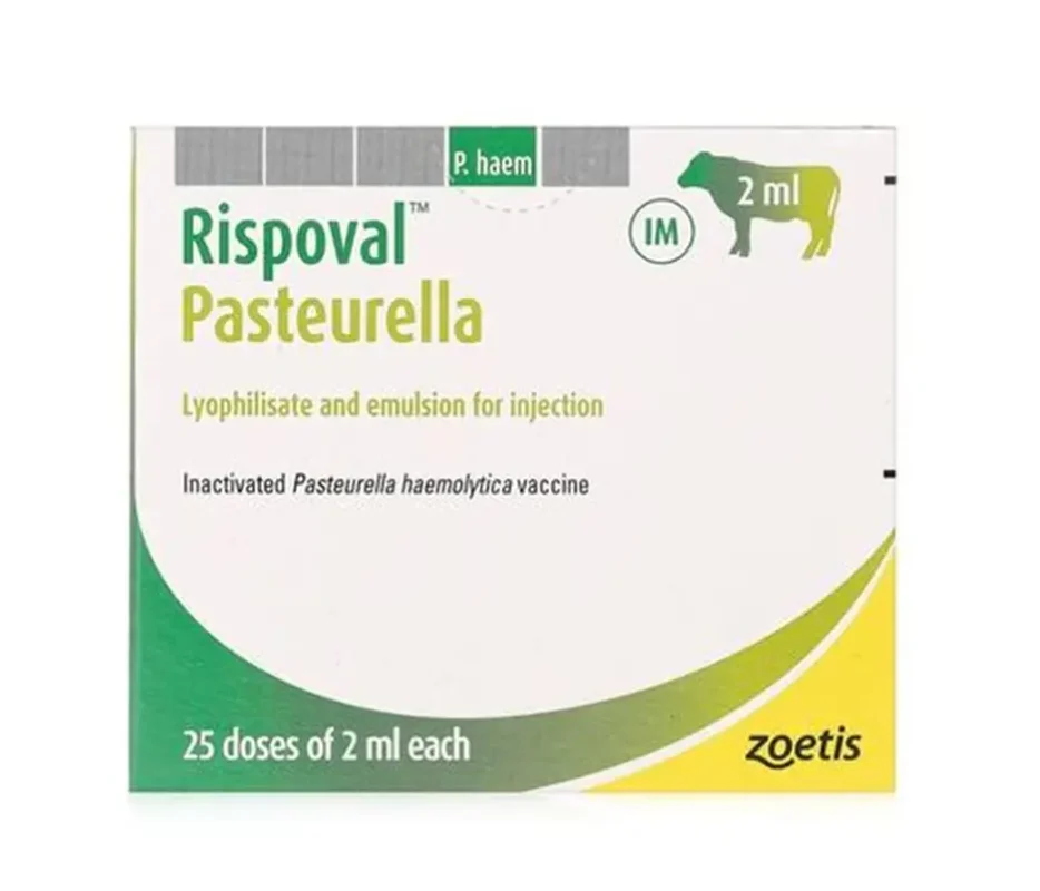 Rispoval Pasteurella 25d