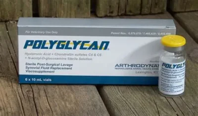 Polyglycan 10ml – Advanced Joint Support for Horses