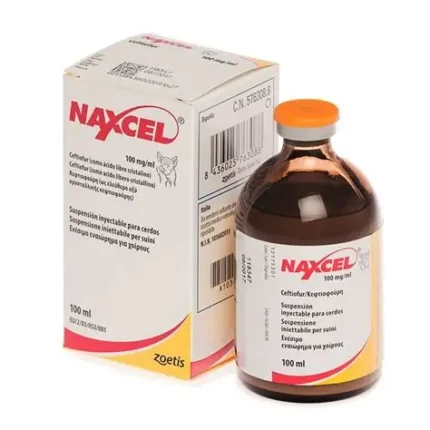 Order Naxcel 100mg Injection Suspension Online | Trusted Animal Health | Vet Ranch Supply