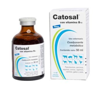Catosal Order Catosal 10% Online - Premium Veterinary Health Support