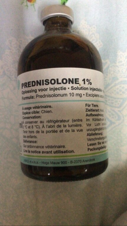 Prednisolone 1%