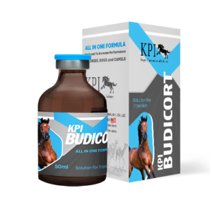 Buy Kpi Pain Online For Sale