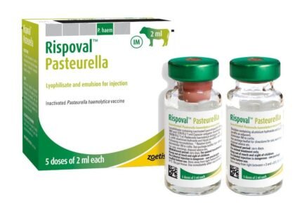 Rispoval Pasteurella 25d