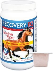 Recovery EQ Powder