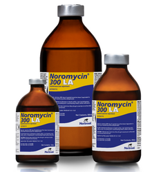 Noromycin 300