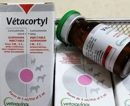 Vetacortyl Injection