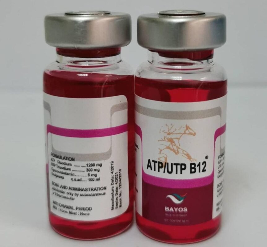 Buy ATP/UTP B12 – Trusted Veterinary Supplement Online