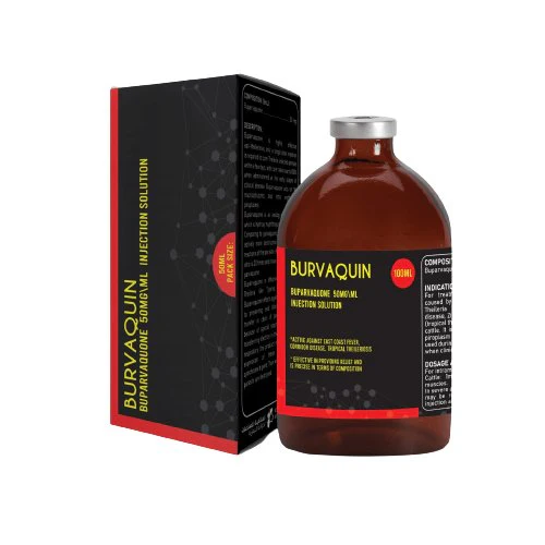 Buy Burvaquin Online – Effective Equine & Cattle Infection Treatment