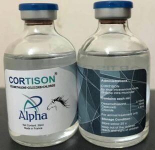 Cortison Injection Buy Cortisone Veterinary Injection – Joint, Allergy & Breathing Support
