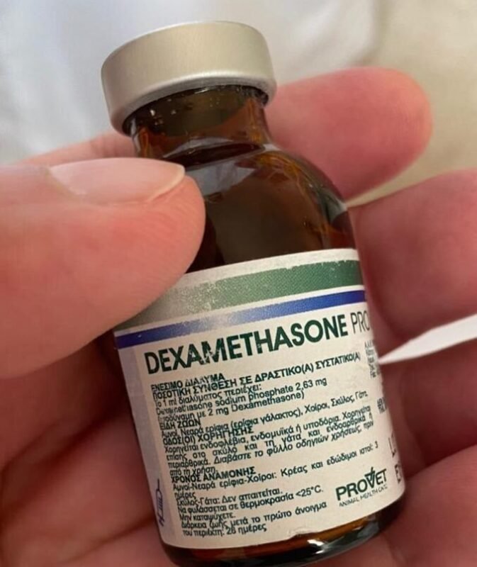 Buy Dexamethasone Provet