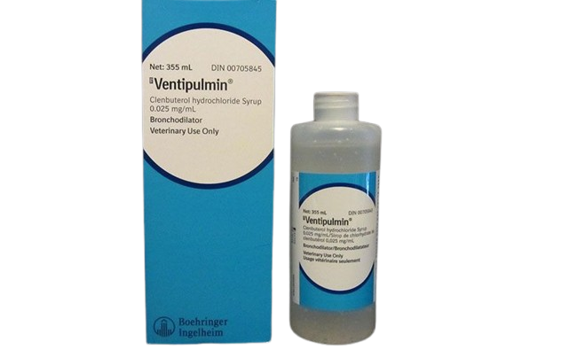 Ventipulmin Syrup