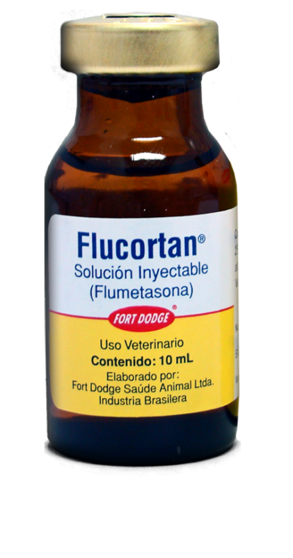 Buy Flucortan Injection