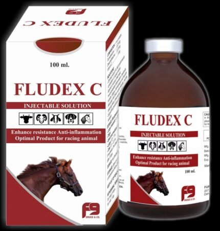 Buy Fludex C Online