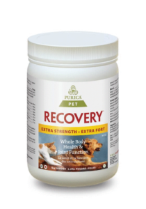 Recovery EQ Powder