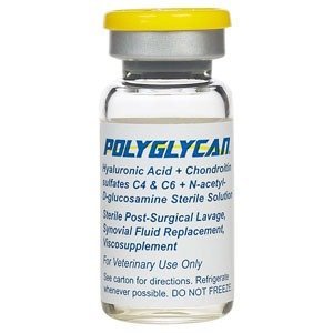 Polyglycan 10ml – Advanced Joint Support for Horses
