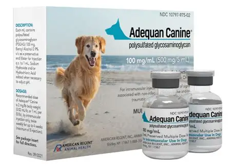 Buy adequan for cats​ Online